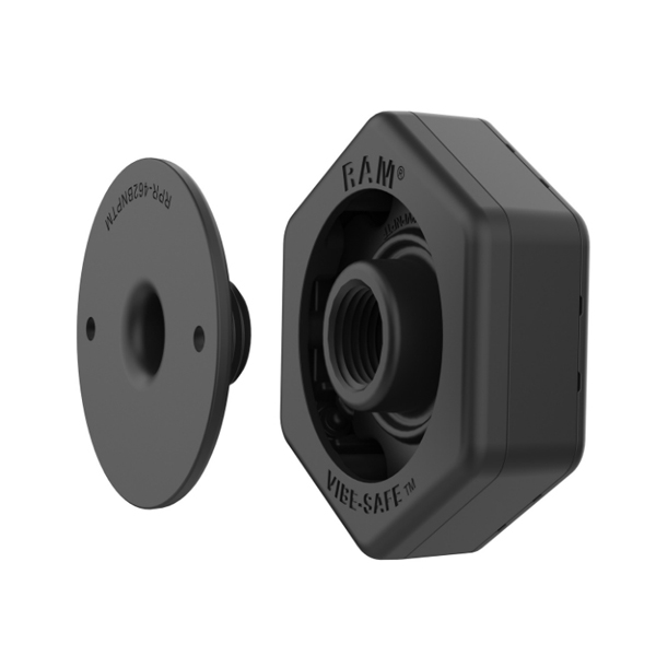 Daisy on the Ohoopee